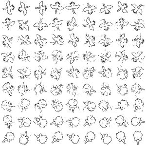 Creature Transformations project preview