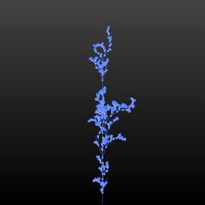 Verse-Plants project preview