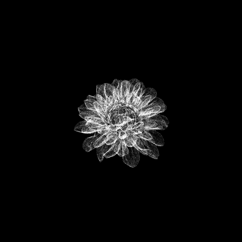 Dahlia Pinnata 30 #59 static NFT preview
