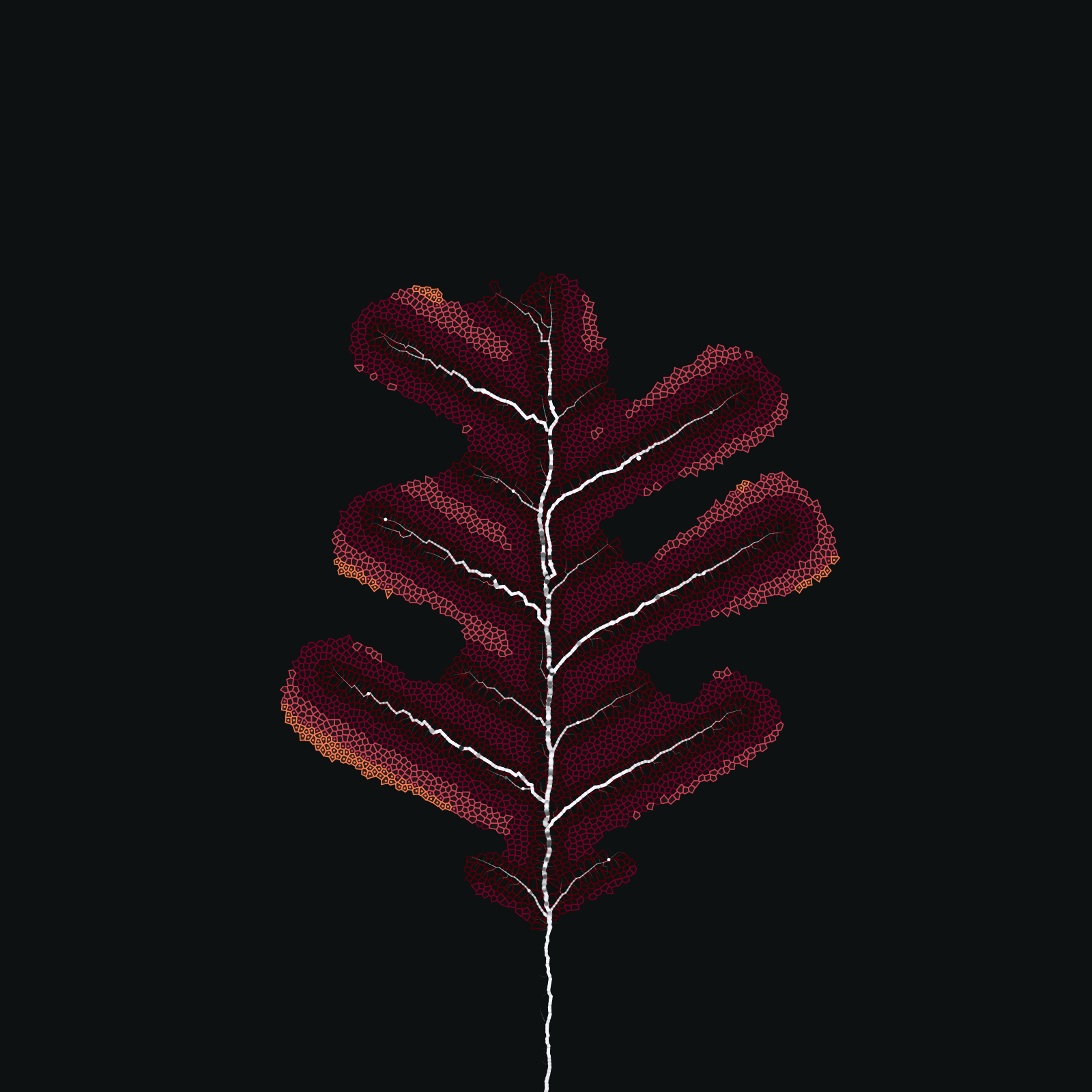Leaf study #38 static NFT preview