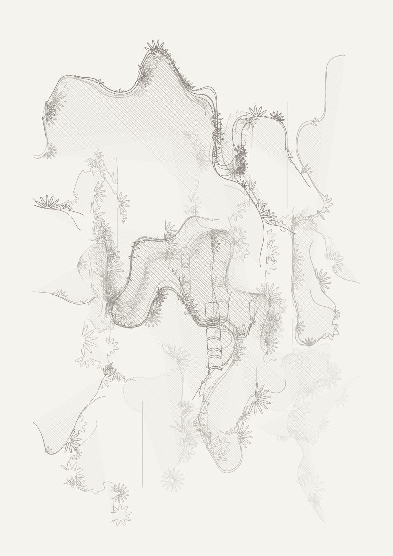 One hundred views of a curve #104 static NFT preview
