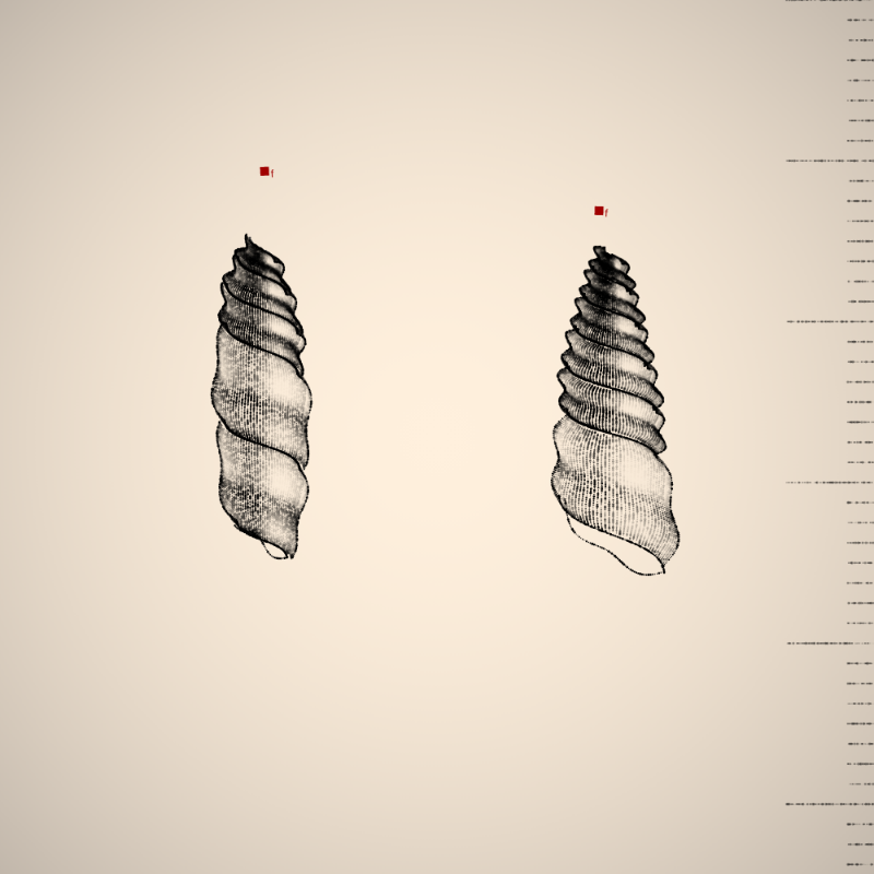 Two Specimen #155 static NFT preview
