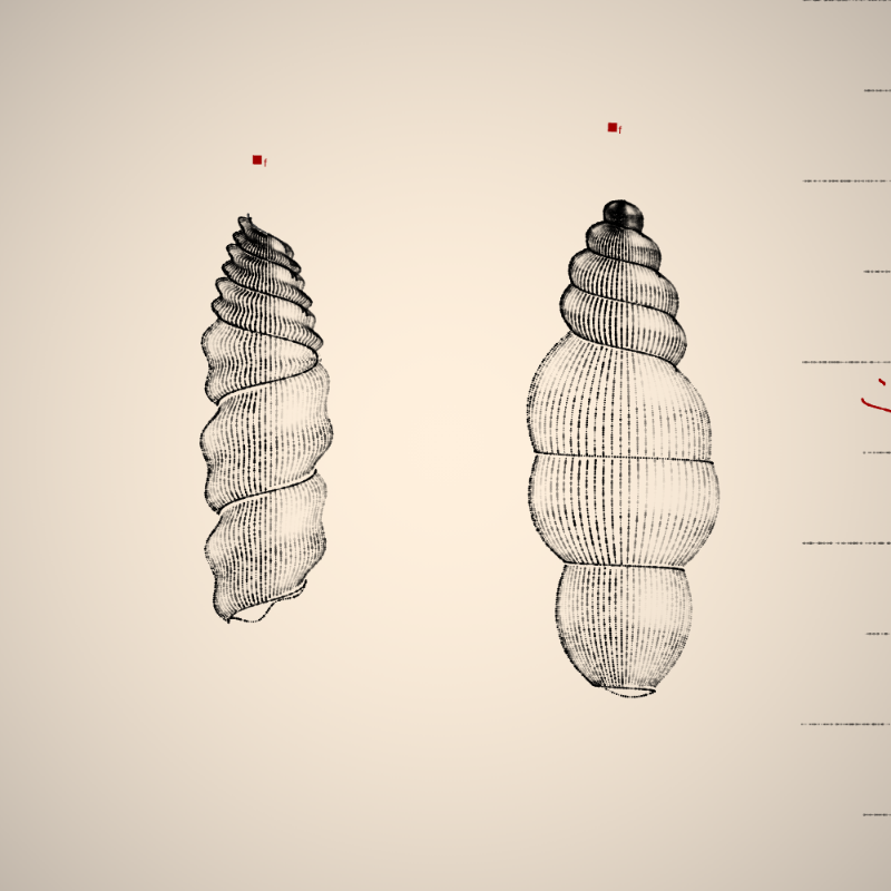 Two Specimen #357 static token preview