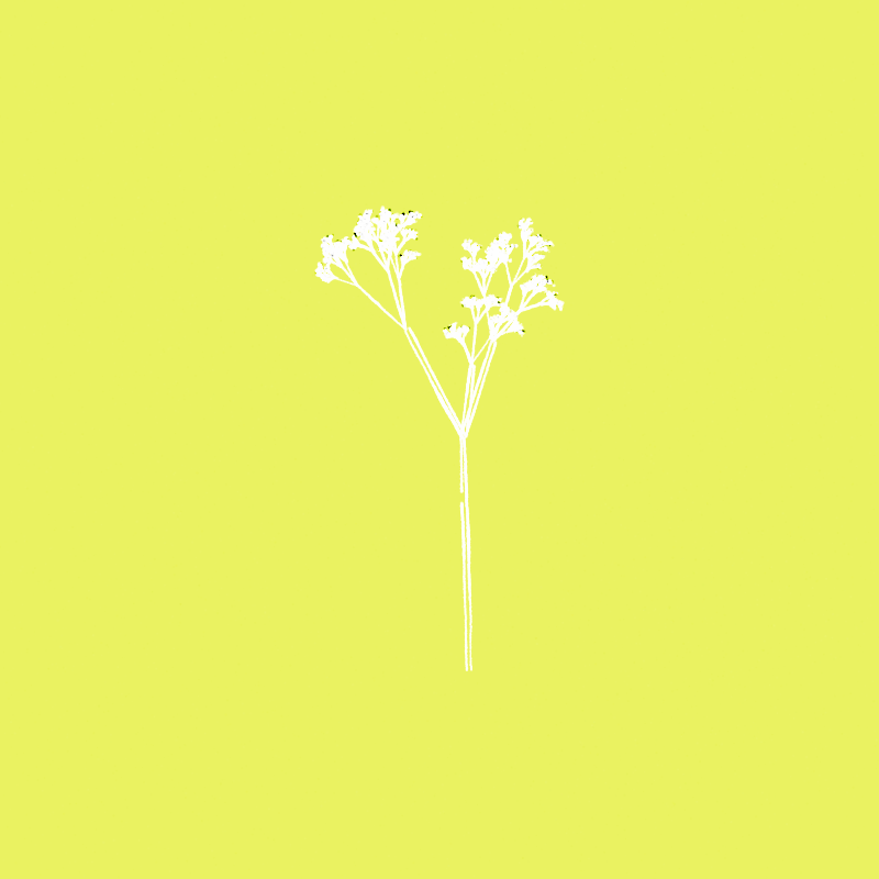 Hand-Drawn Tree #38 static token preview