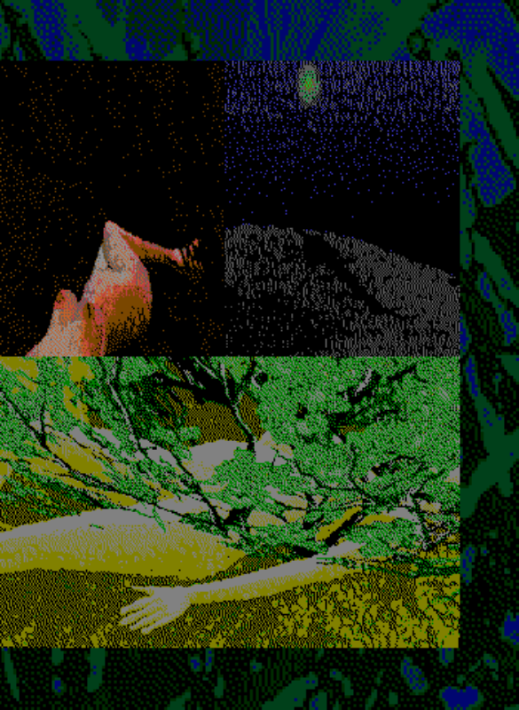 Pages #40 static NFT preview