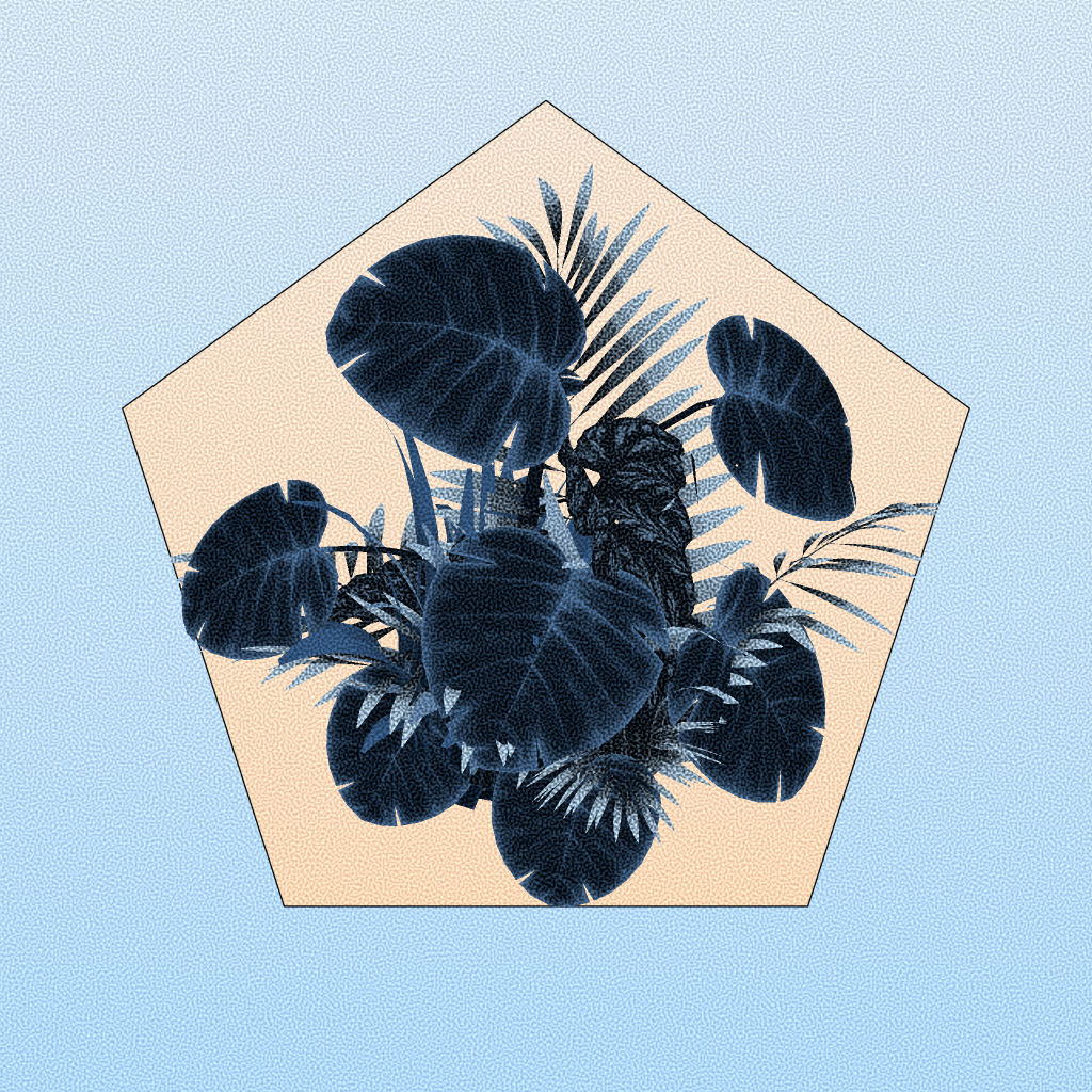 Botany #145 static token preview