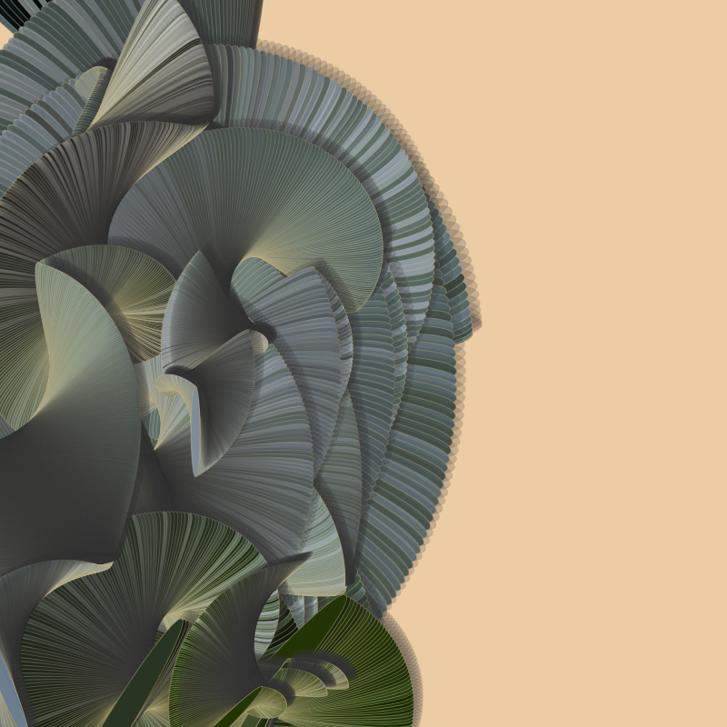 Seashells #128 static NFT preview