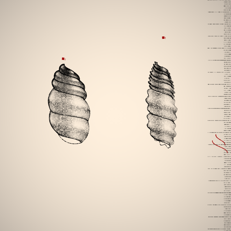 Two Specimen #422 static token preview