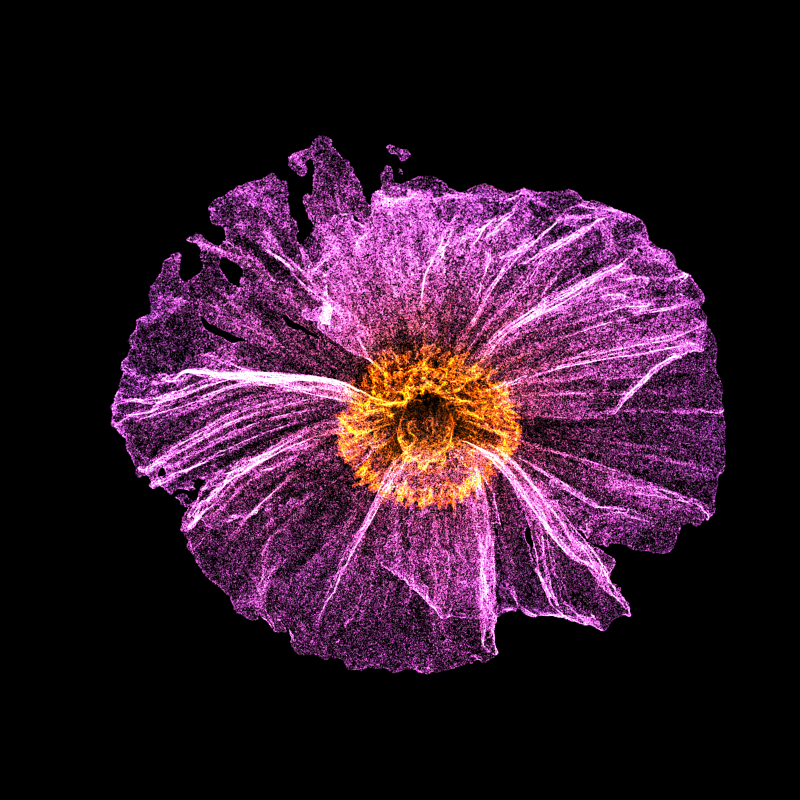 White Poppy 30 #165 static token preview