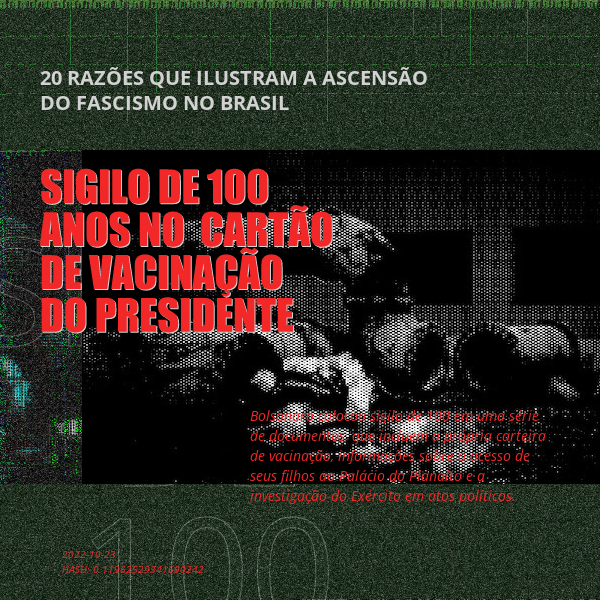 B4D - Brazil4Democracy #26 static token preview