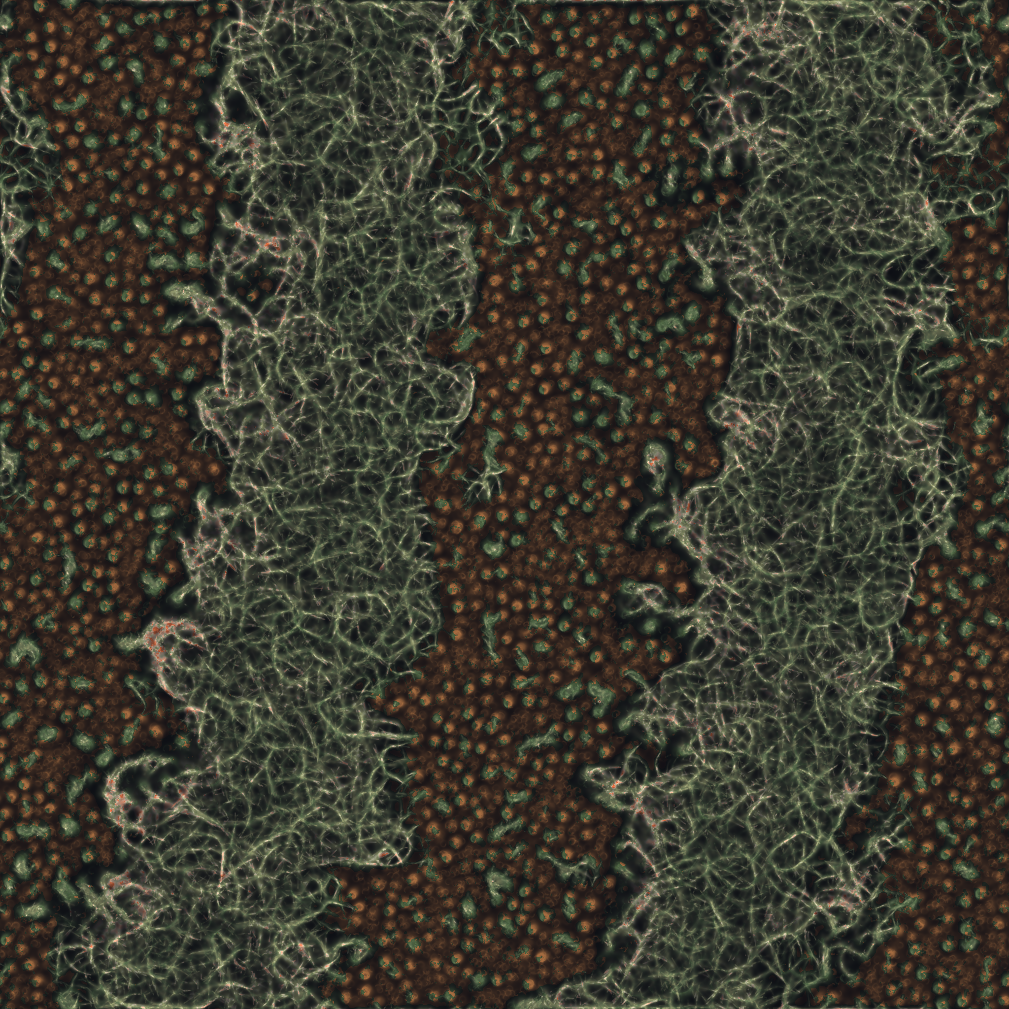 saprophyte #182 static NFT preview