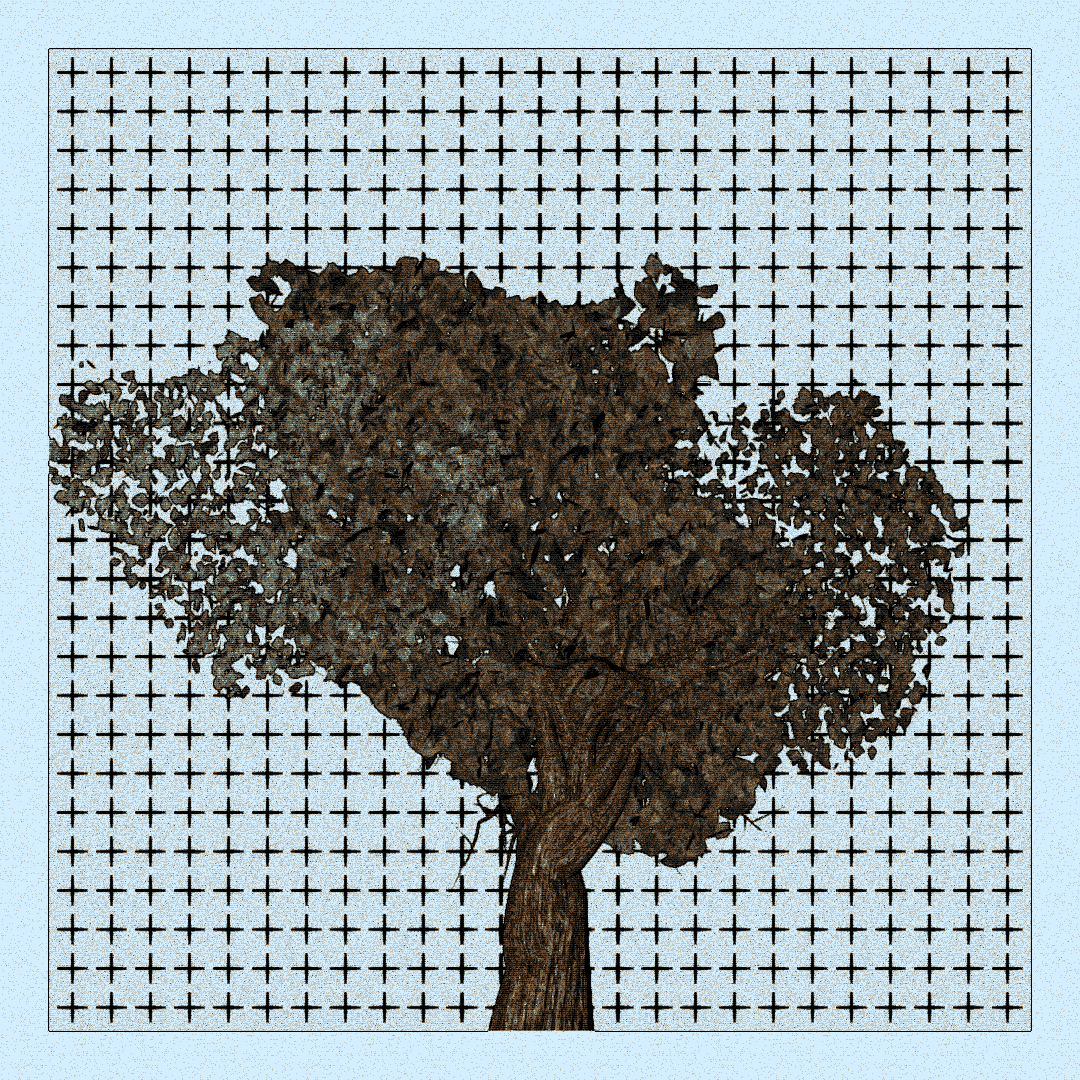 _argania[primaria] #121 static token preview