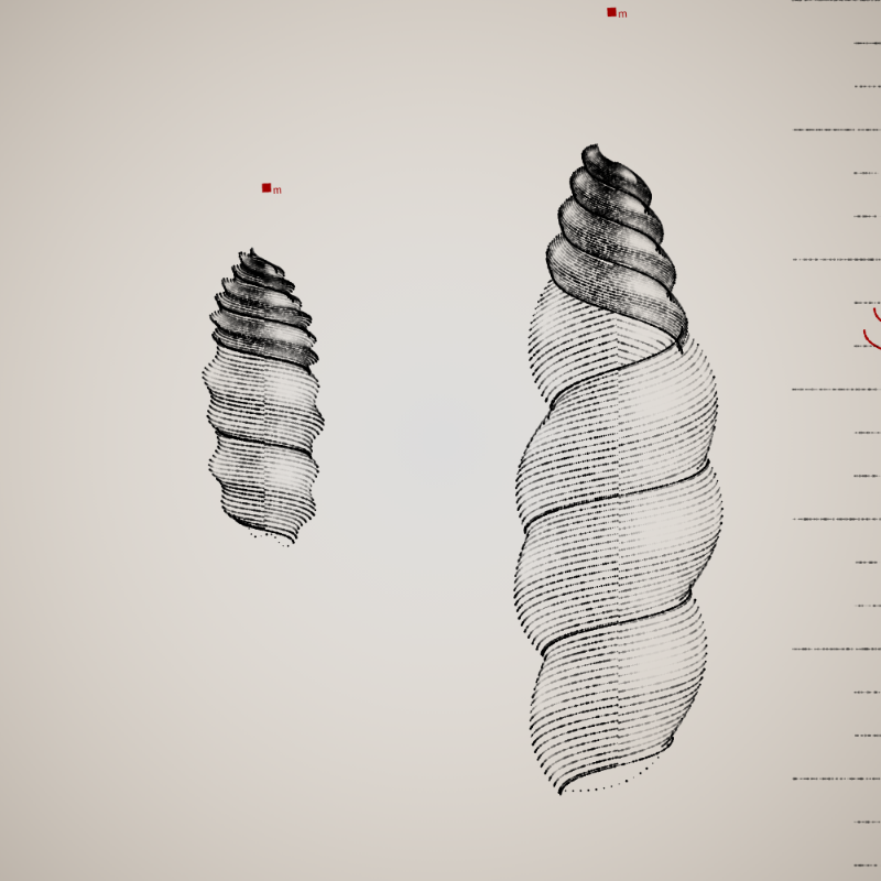 Two Specimen #276 static NFT preview