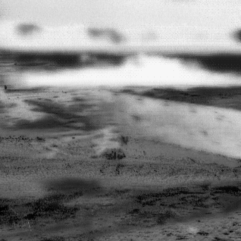Scrambled Memories #41 static NFT preview