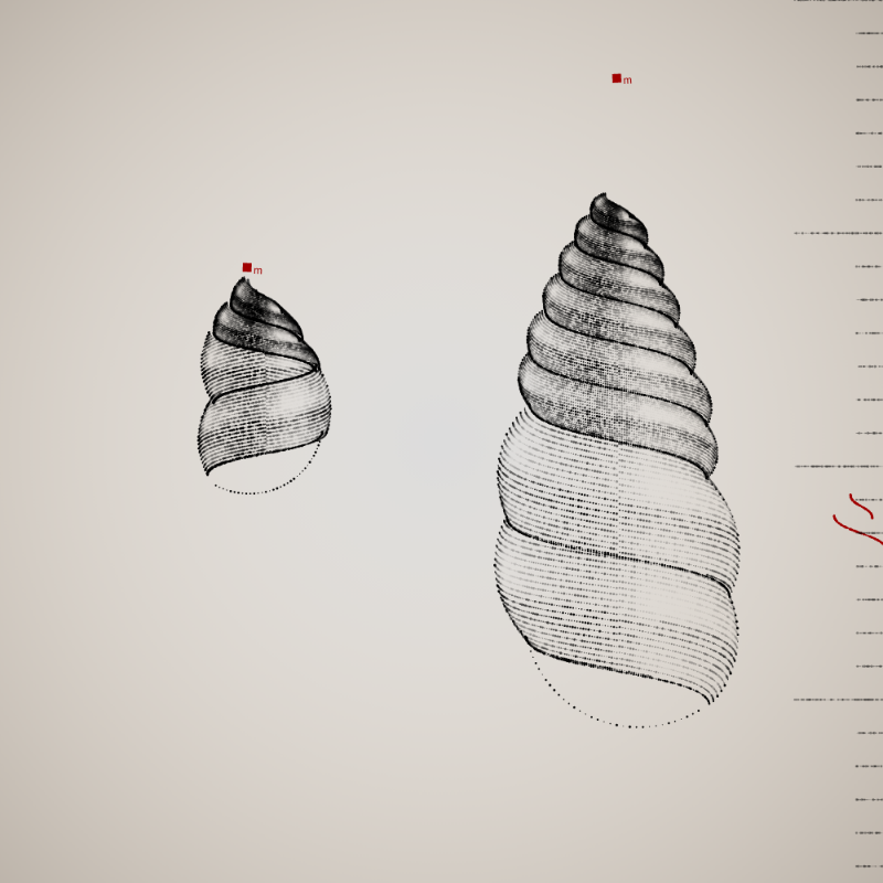 Two Specimen #148 static NFT preview