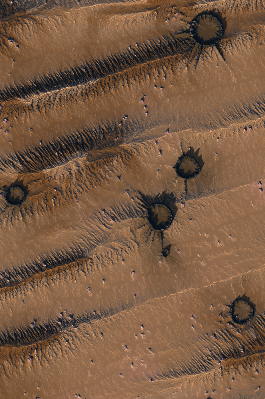 Reconnaissance #273 static token preview