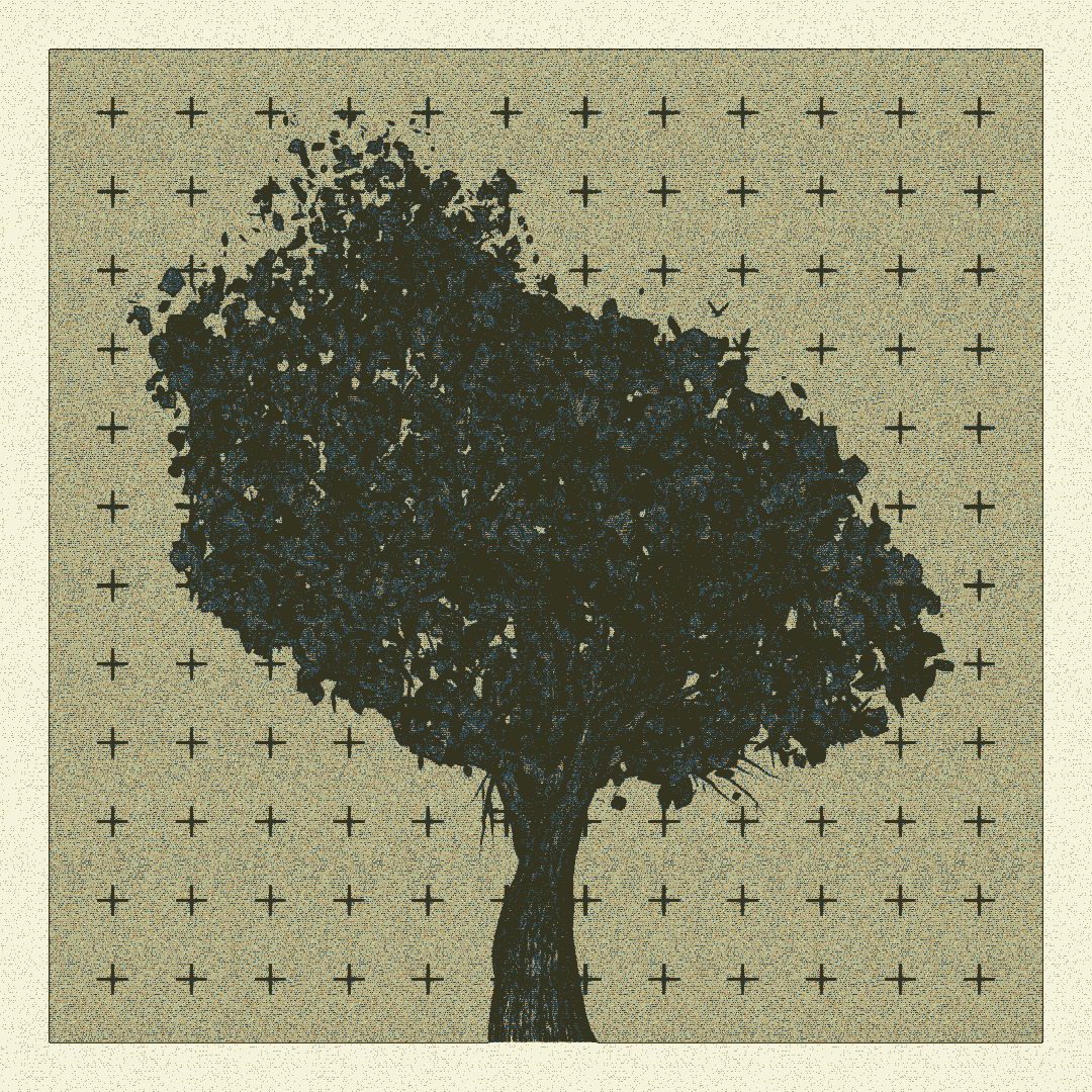 _argania[primaria] #256 static token preview