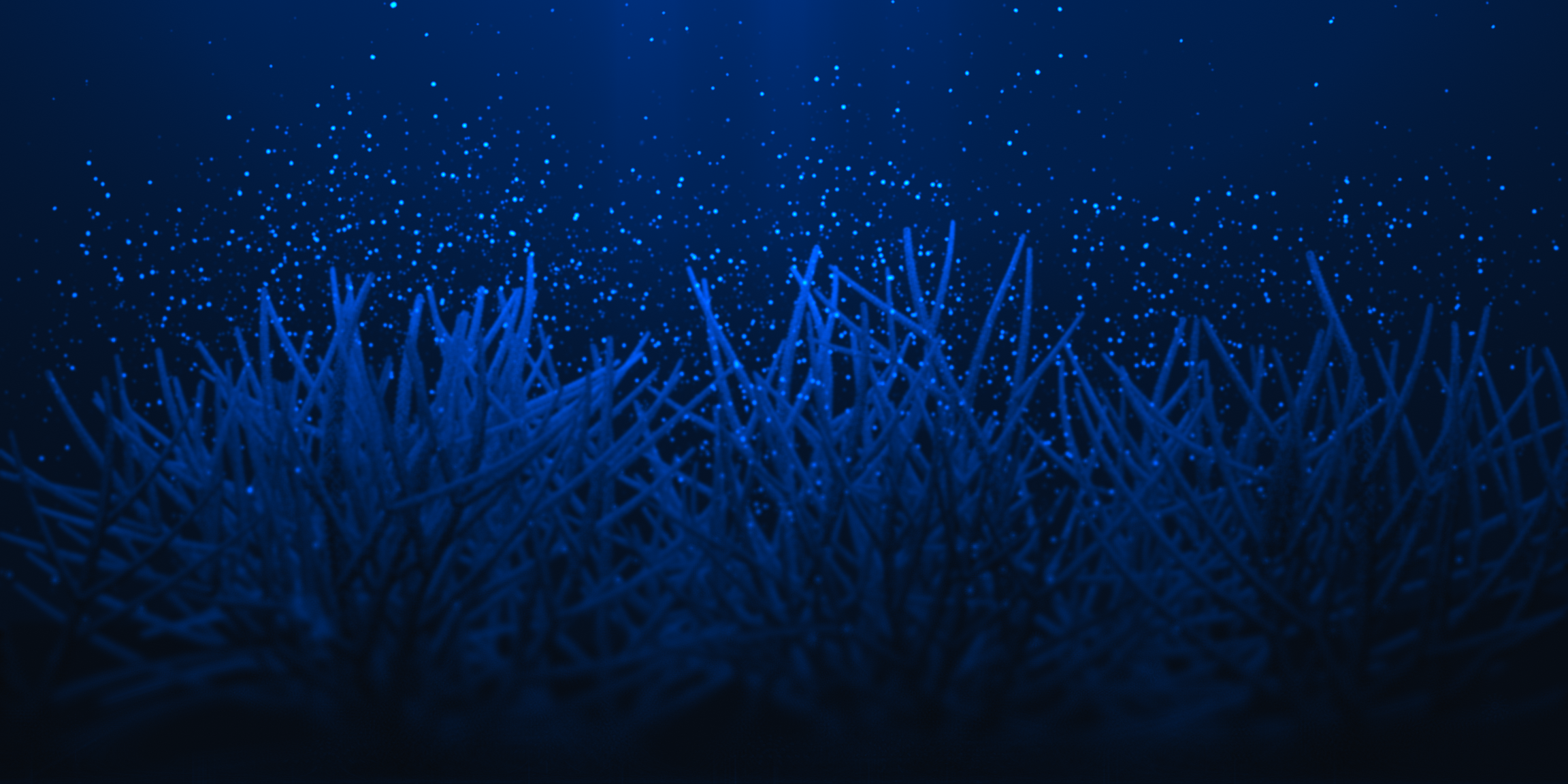 The Restoration Scheme: The Birth #25 static token preview