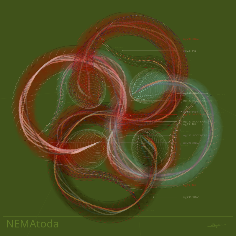 NEMA #10 static token preview