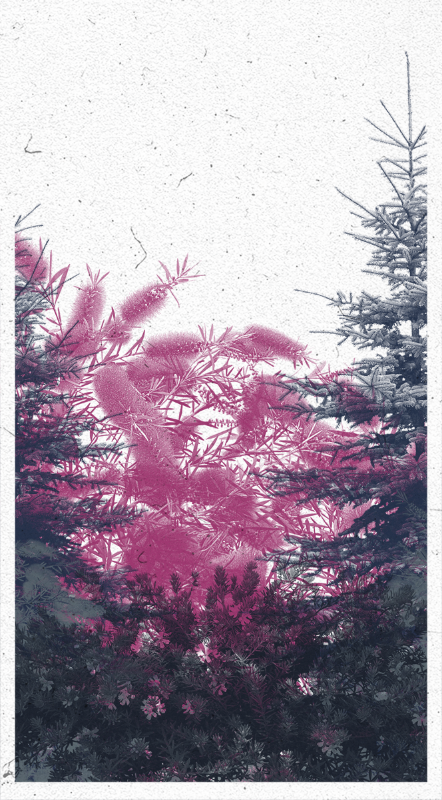 Life in the forest! #29 static token preview