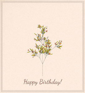 birthday cards project preview