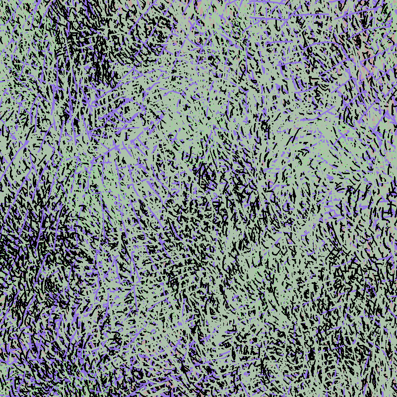 a bird worked on my painting #43 static NFT preview