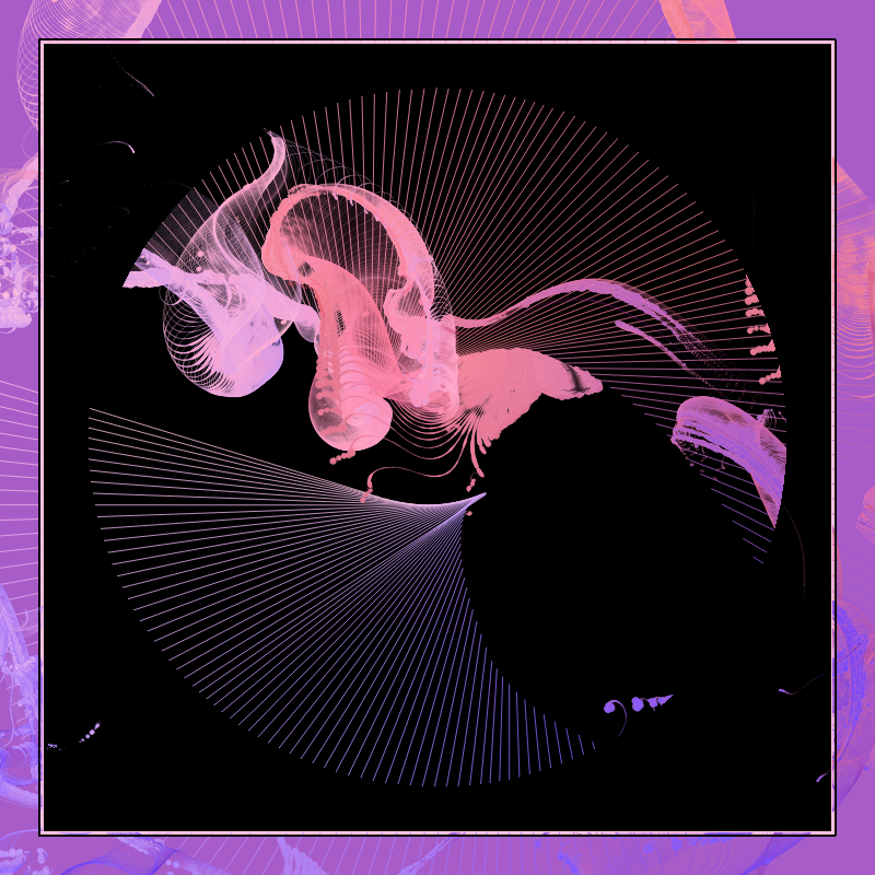 NFT #266 static NFT preview