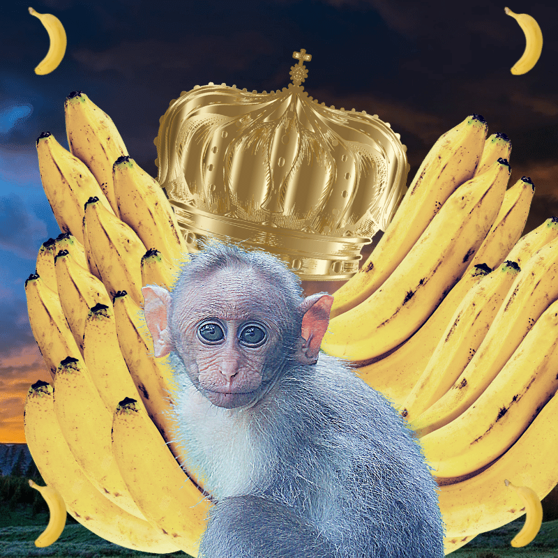 Banana gods #19 static token preview