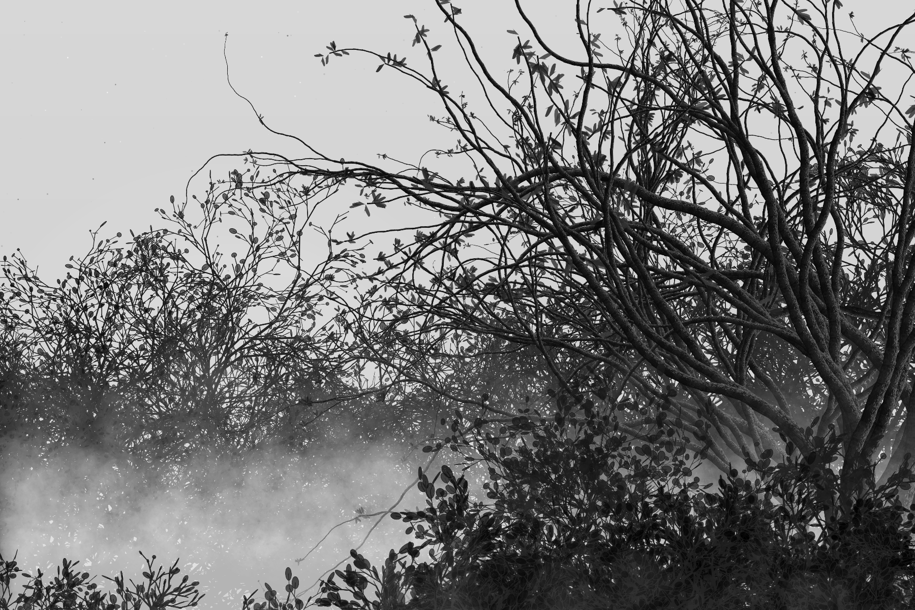 Morning Mist #184 static token preview