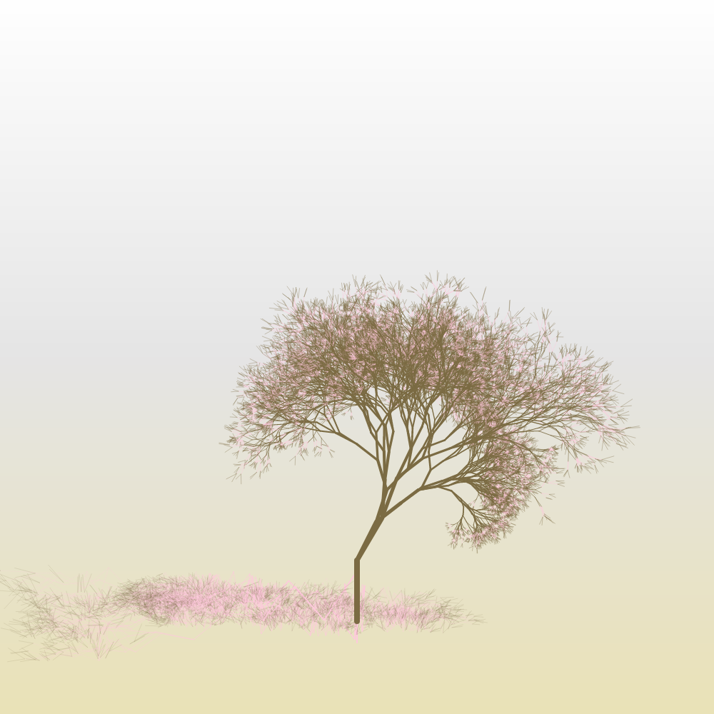 Hanami #21 static token preview