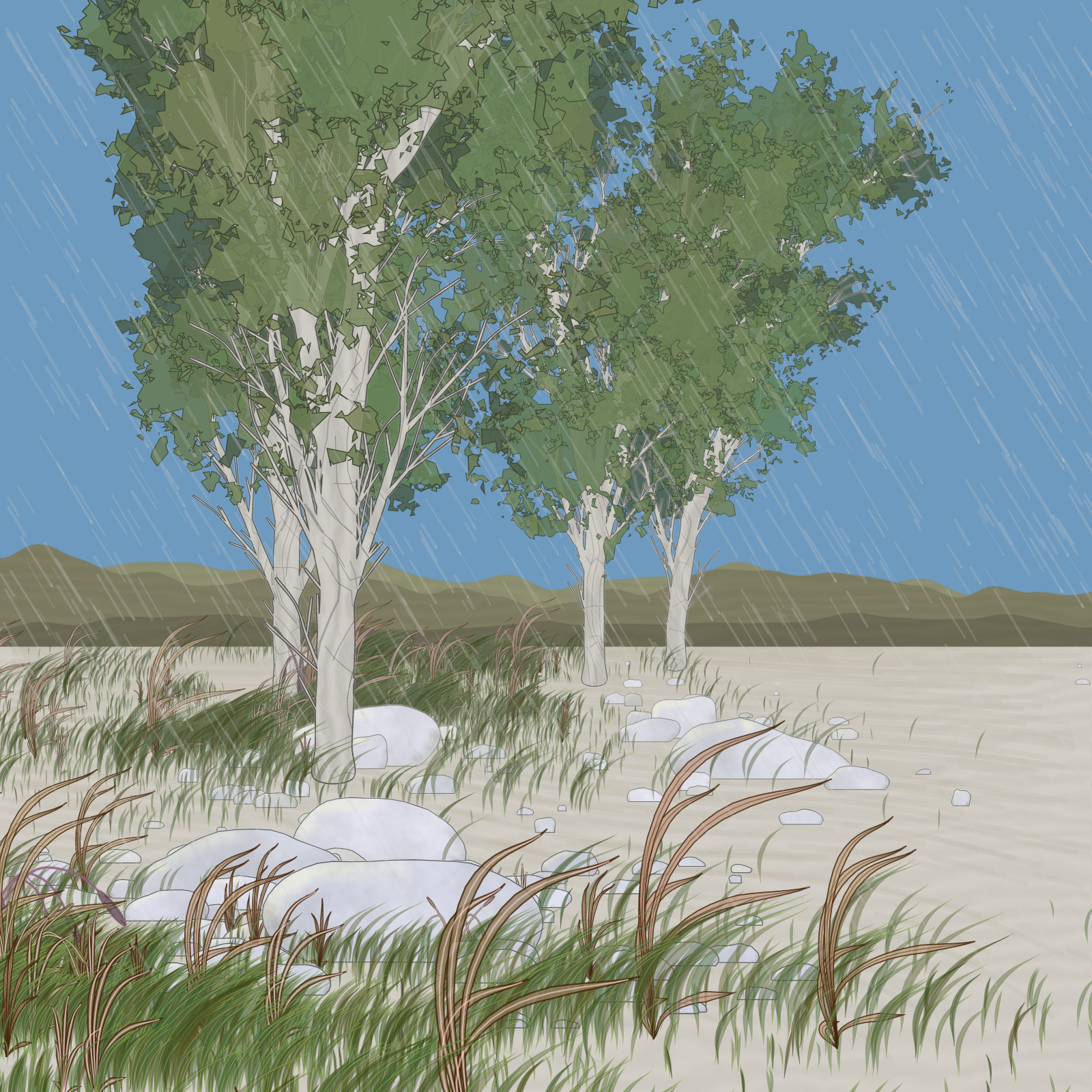 Rain Ritual #128 static token preview