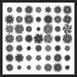 Spirograph Study project preview