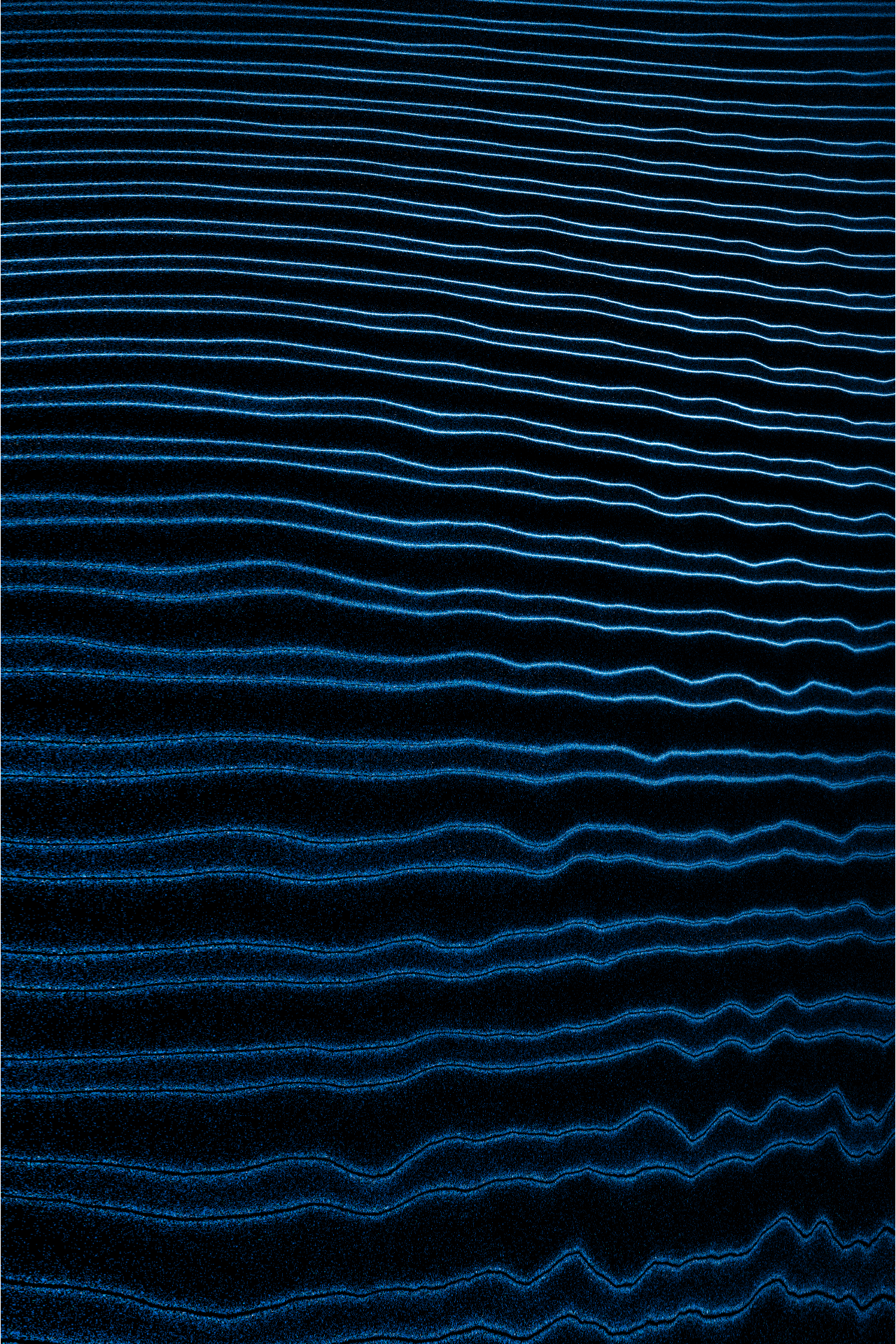 Linear Perturbations #43 static NFT preview