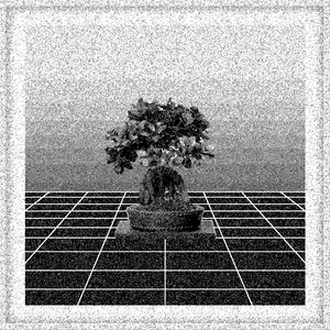 Bonsai Bonanza #881 static NFT preview