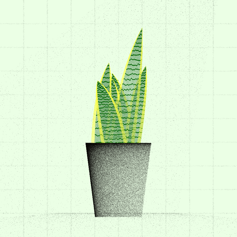 🌱 Potted & Printed #369 static NFT preview