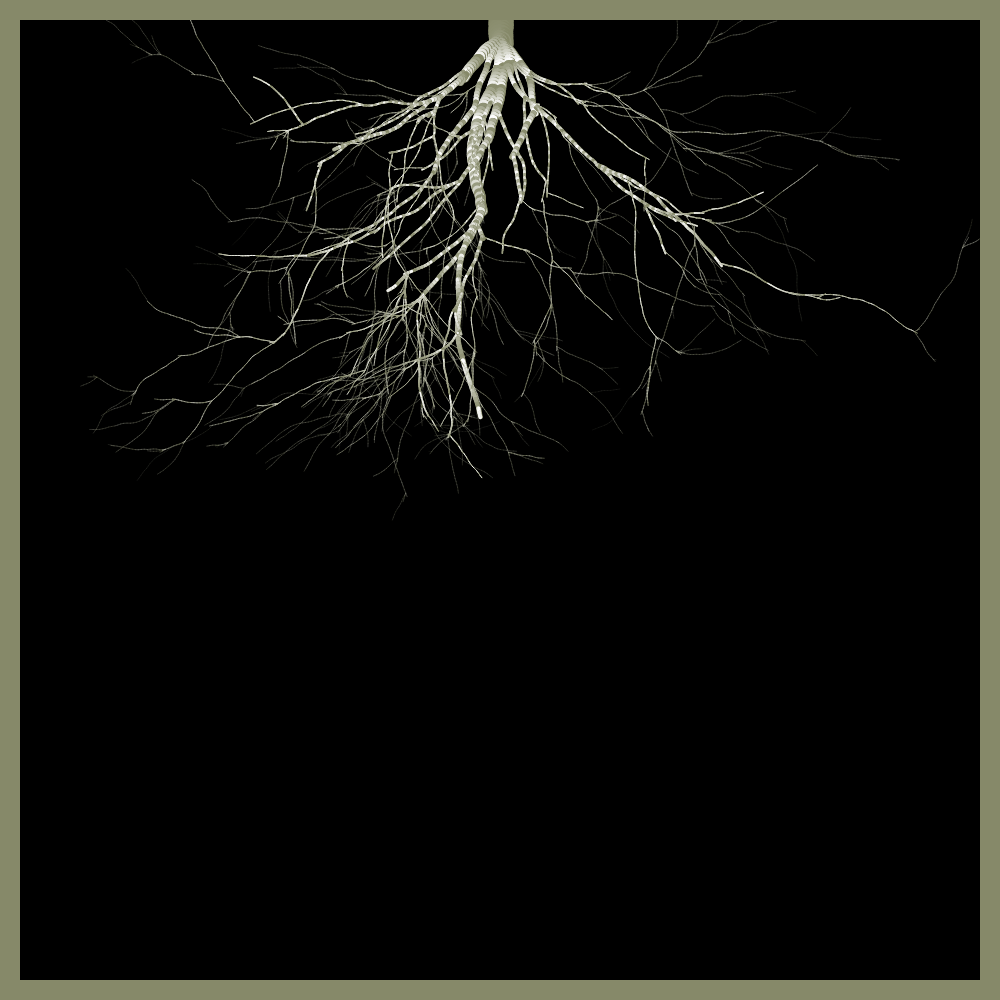 Arbres suspendus #44 static token preview