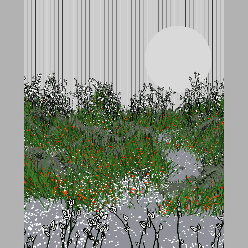 Contours #64 static NFT preview