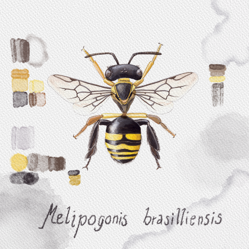 Randomic Brazilian Bees #2 static NFT preview