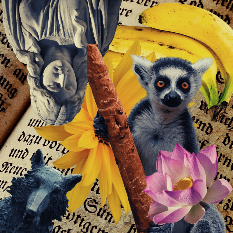 Banana flower #38 static token preview