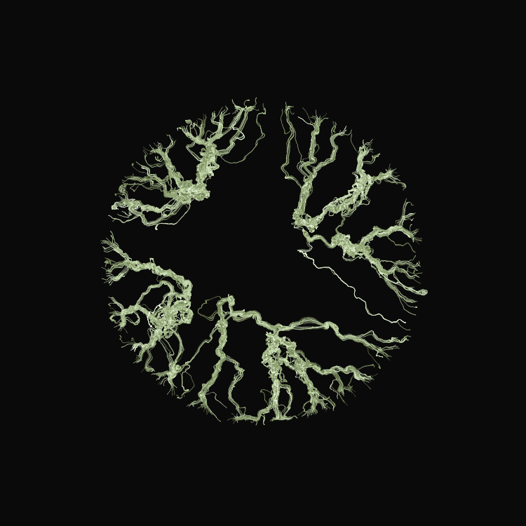 Ginseng #97 static NFT preview