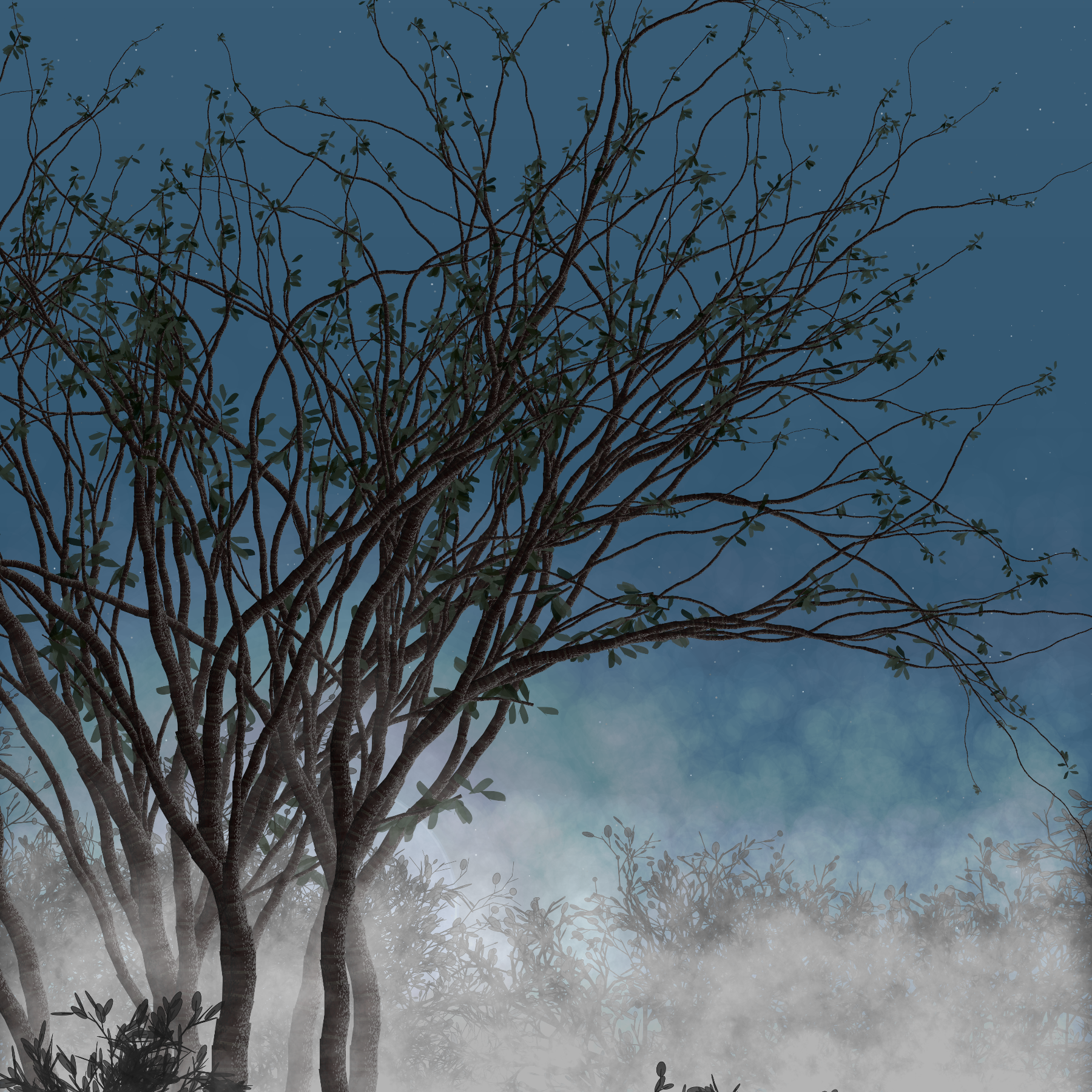 Morning Mist #125 static token preview