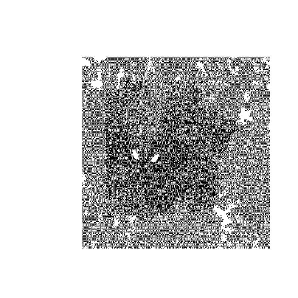 Missingno #54 static token preview