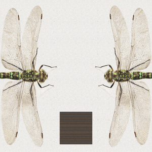 Dragonfly project preview