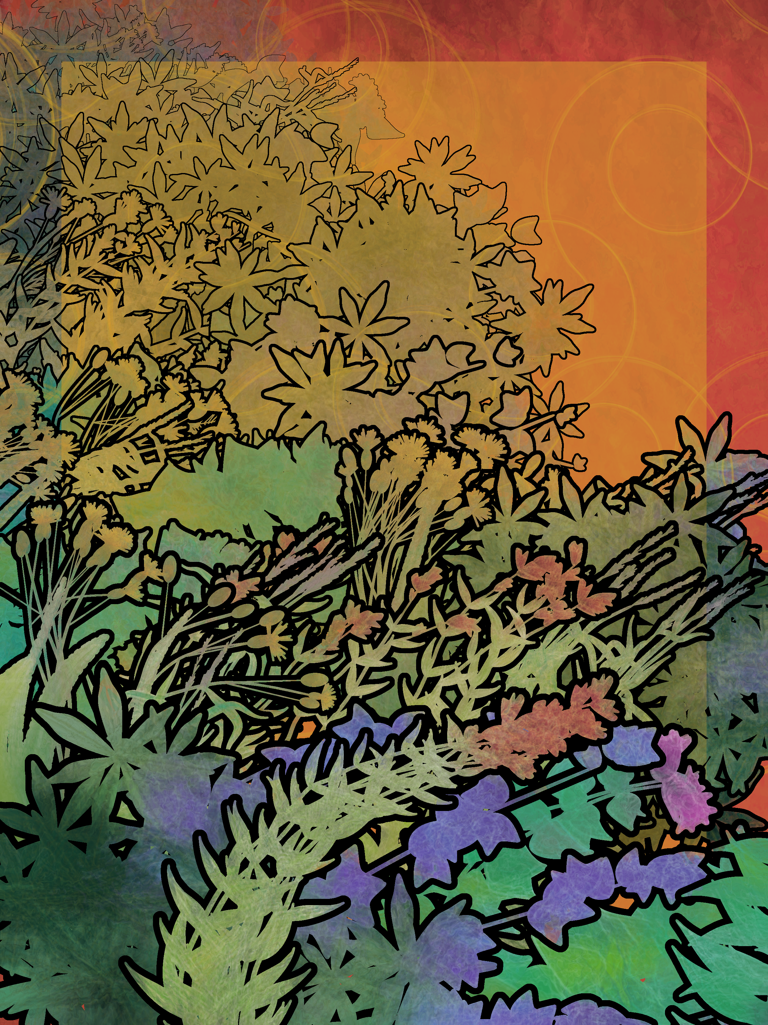 Ephemera #57 static NFT preview