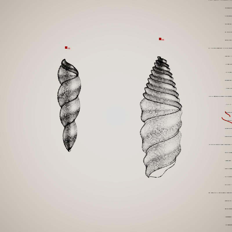 Two Specimen #482 static token preview