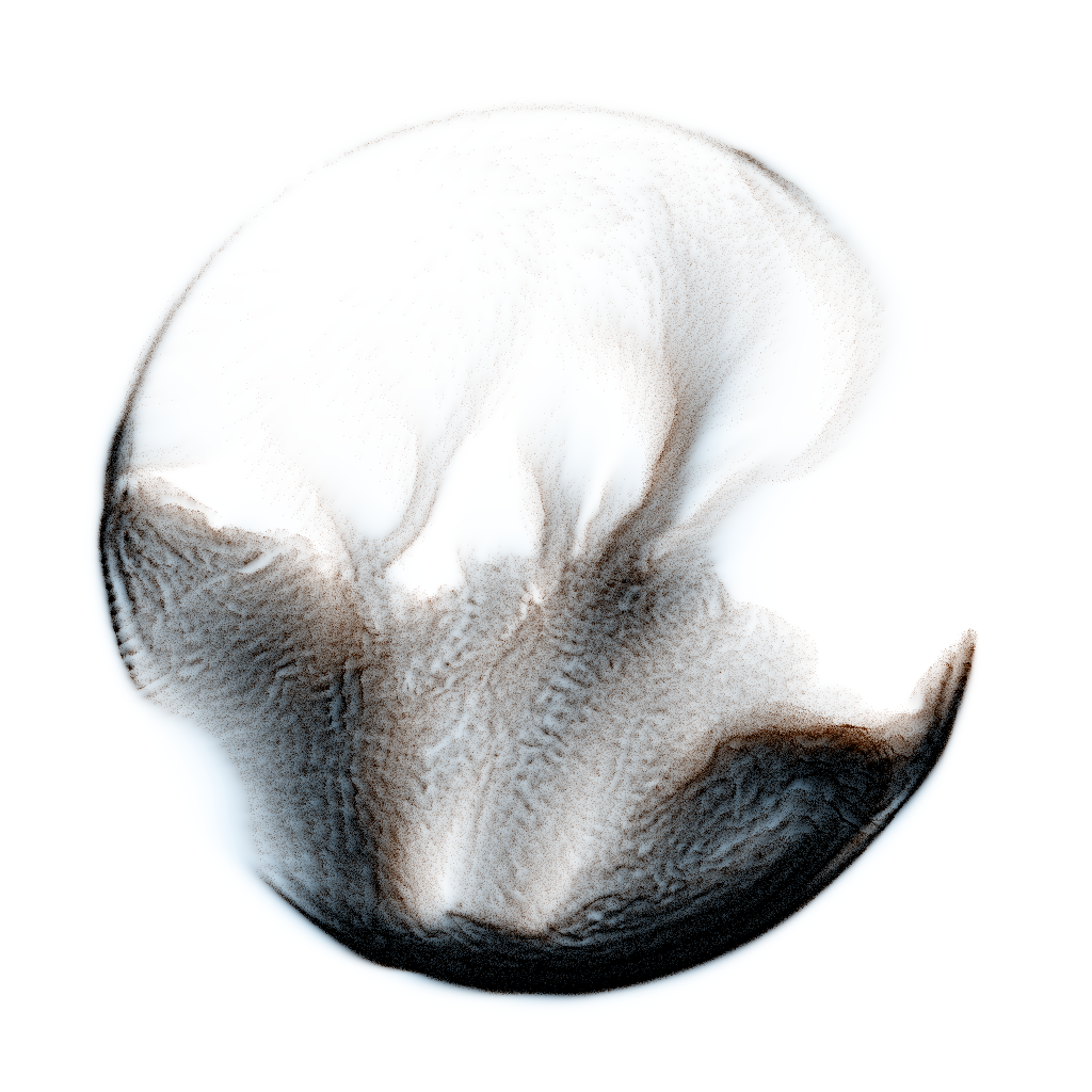 PETRI #61 static NFT preview