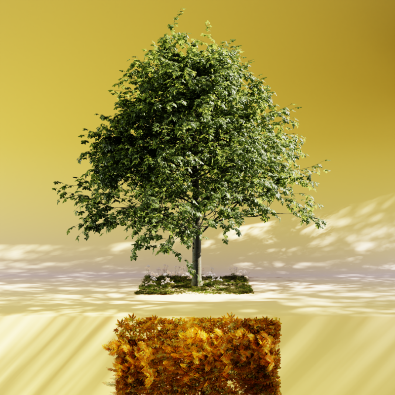 Nature rooms #30 static token preview