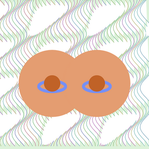 nip trip project preview