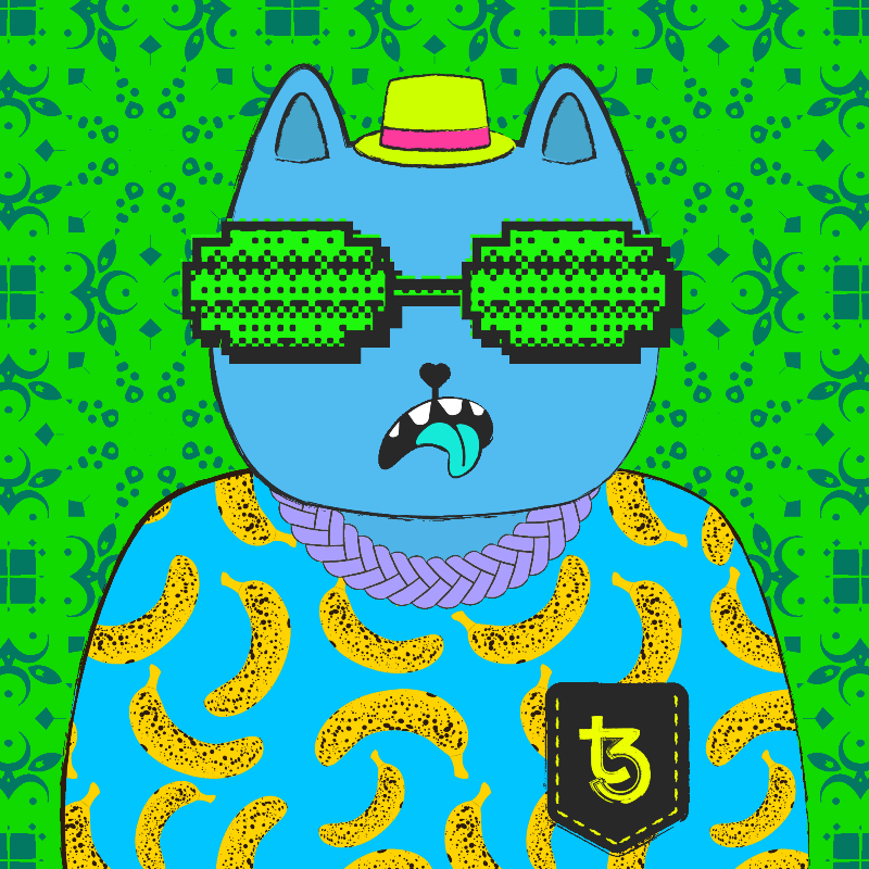 hash cats – genesis #507 static NFT preview