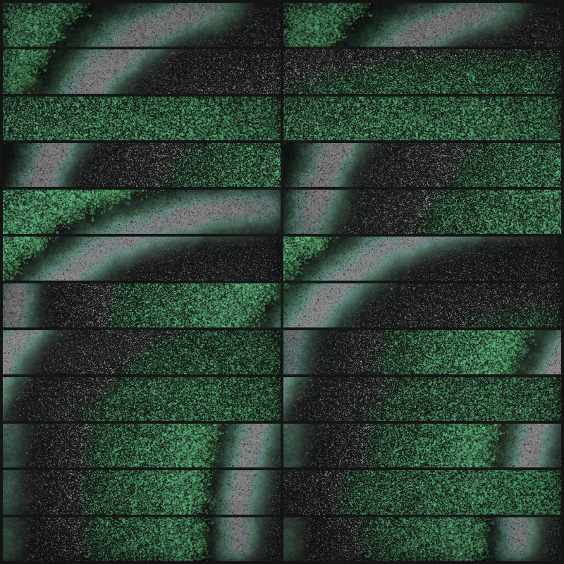 Boundary Conditions #66 static NFT preview